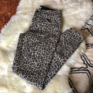 Leopard Print Pants